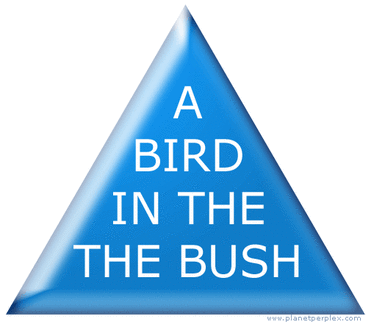 Proofreading Test: a Bird in the the bush